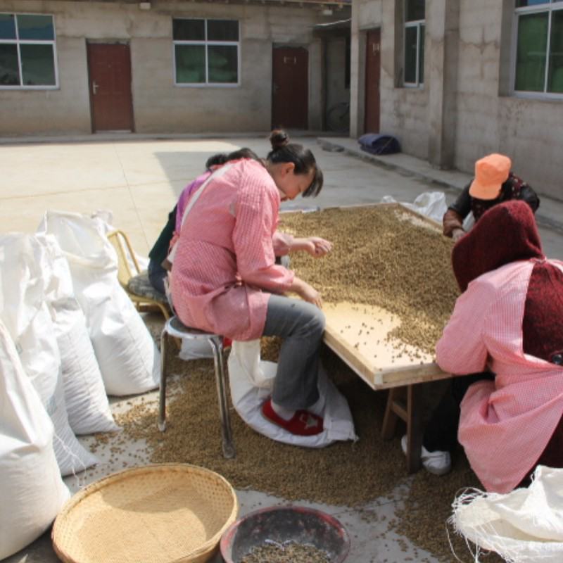 延胡索元胡中药材批发颗粒均匀饱满品质保证
