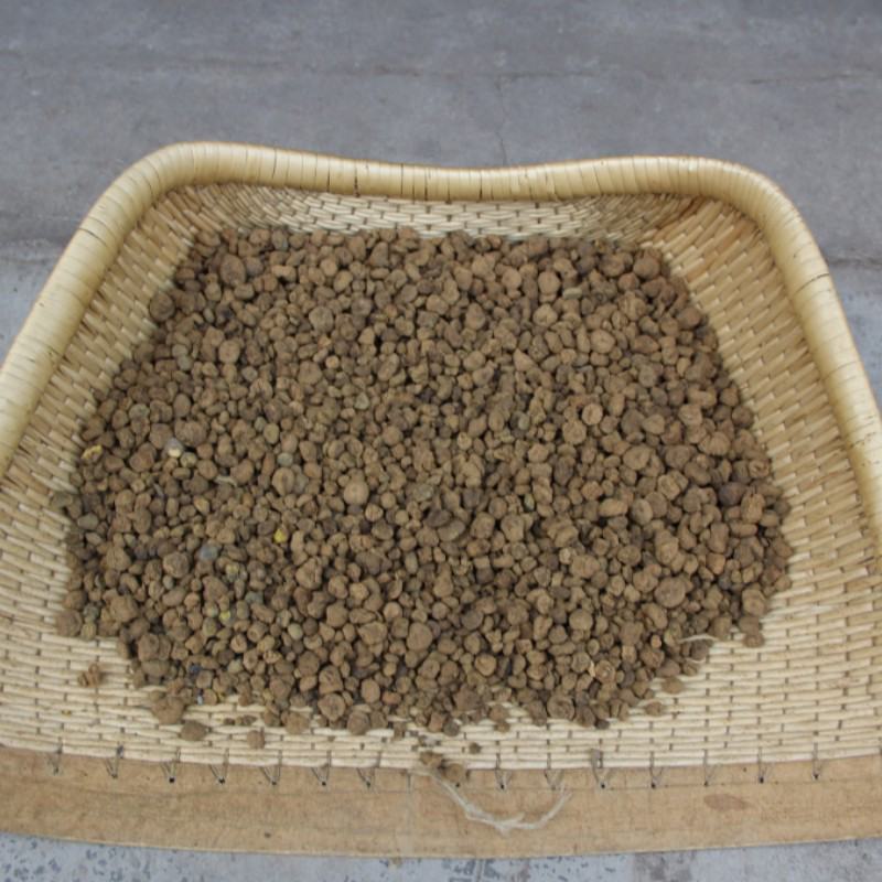 延胡索元胡中药材批发颗粒均匀饱满品质保证