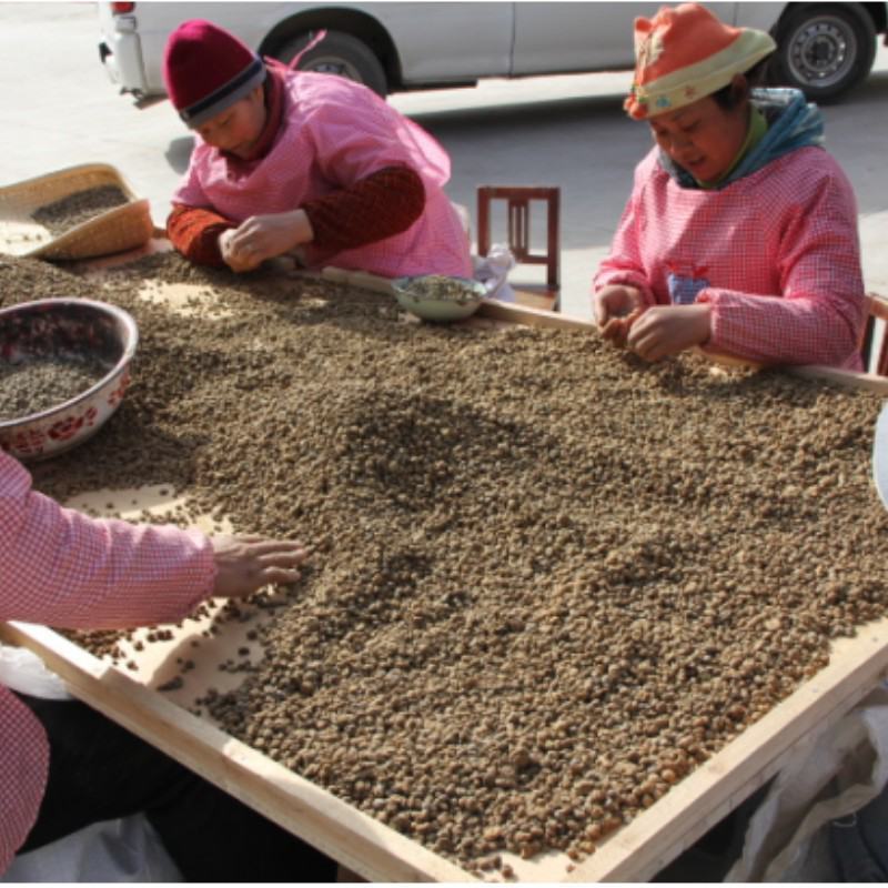 延胡索元胡中药材批发颗粒均匀饱满品质保证