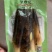 开袋即食