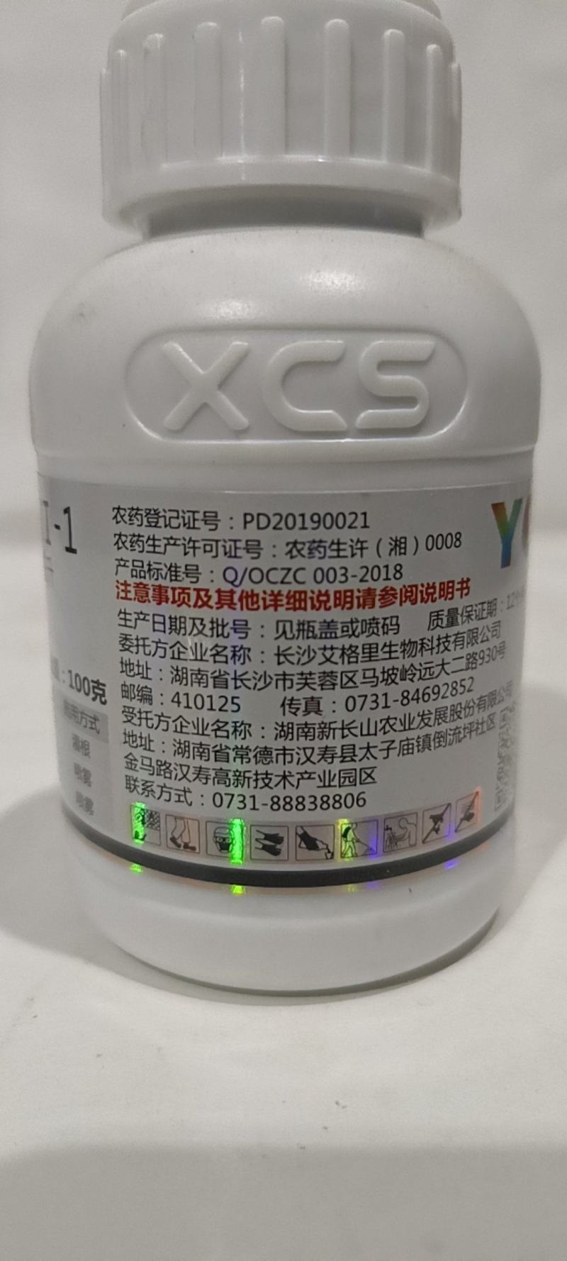 颜彩嗜硫小红卵菌能有效激活葱姜蒜韭菜内原让叶片增厚更浓绿