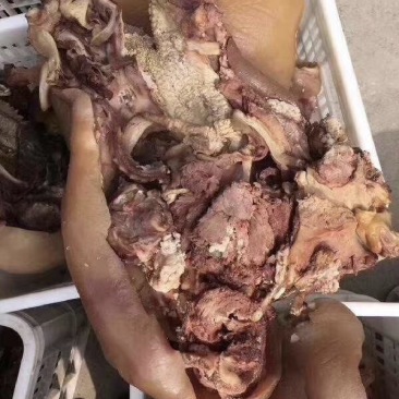 新鲜牛头肉正规货源原产地供应随时有货