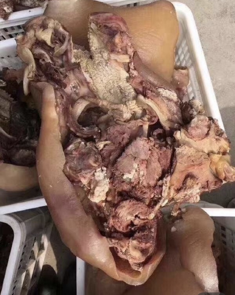 新鲜牛头肉正规货源原产地供应随时有货