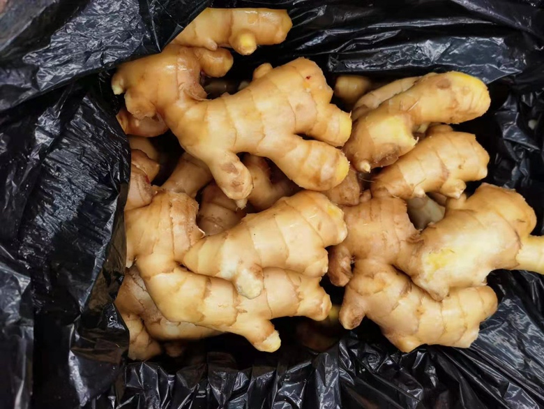 桂枝生姜泻心汤药材图