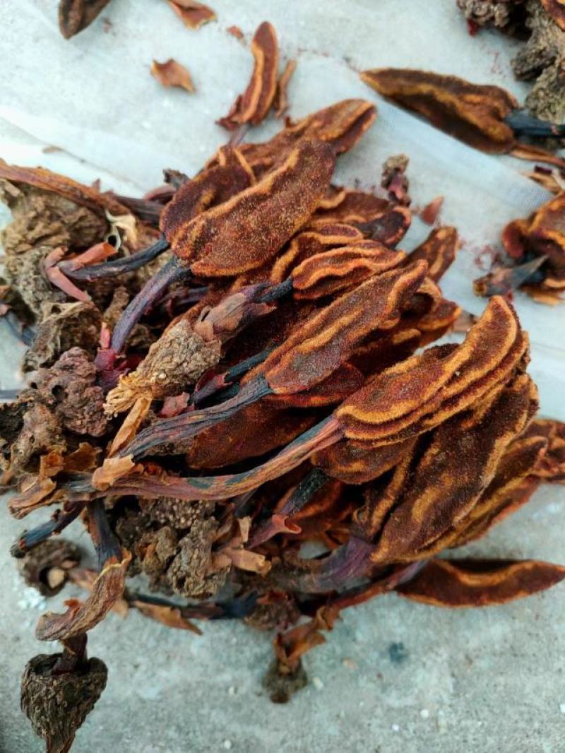 云南野生回春草无硫晒干烘干袋装散装定制包装