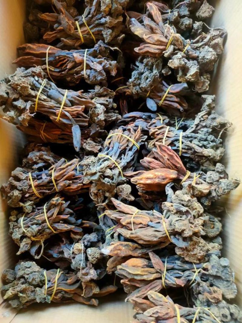 云南野生回春草无硫晒干烘干袋装散装定制包装