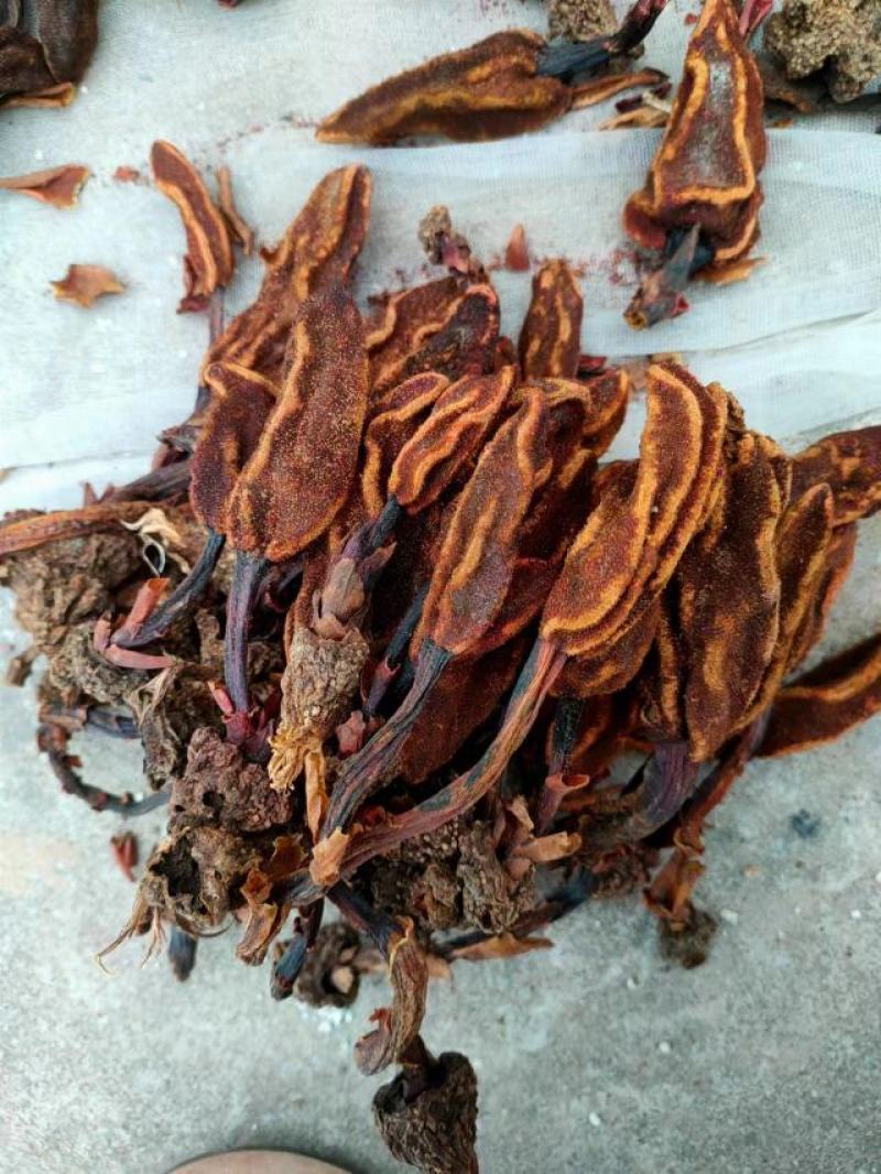 云南野生回春草无硫晒干烘干袋装散装定制包装