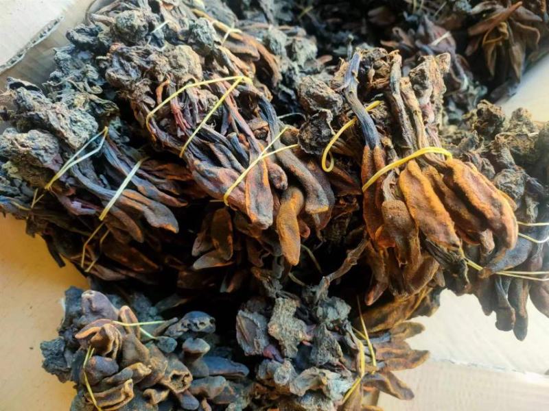 云南野生回春草无硫晒干烘干袋装散装定制包装