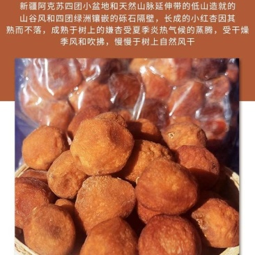 树上干杏，新疆伊犁特产，树上自然风干，软糯香甜。