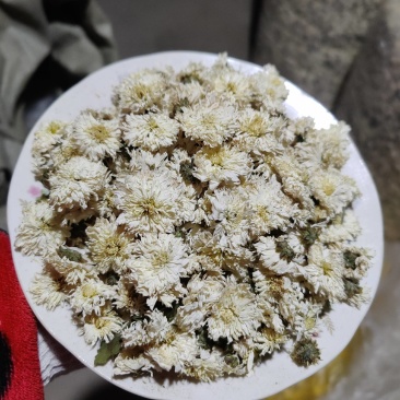 黄山贡菊花茶