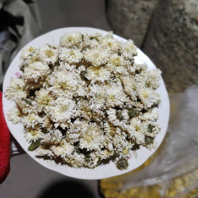 黄山贡菊花茶