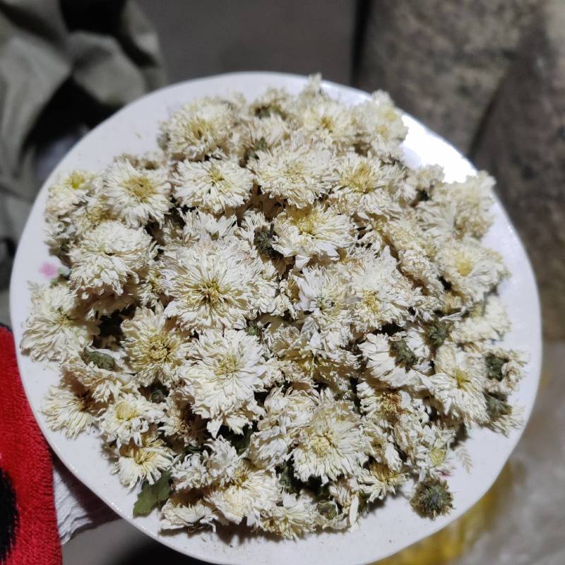 黄山贡菊花茶