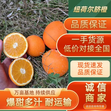 广西纽荷尔脐橙纯甜大量现货多汁多肉支持视频看货全国代发