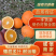 广西纽荷尔脐橙纯甜大量现货多汁多肉支持视频看货全国代发