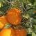 纽荷尔脐橙大量走货果大汁甜产地对接电商商超团购