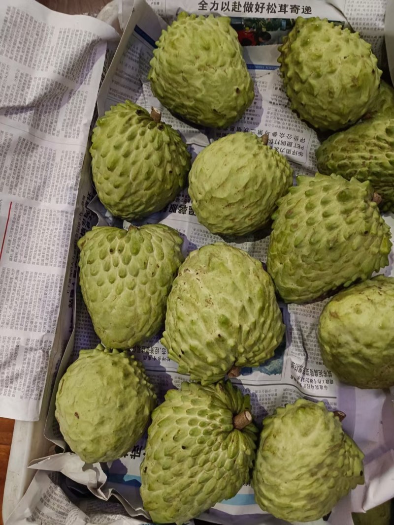 凤梨释迦果