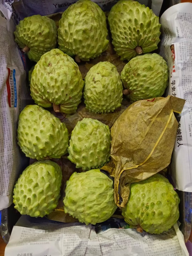 凤梨释迦果