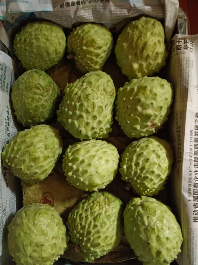 凤梨释迦果