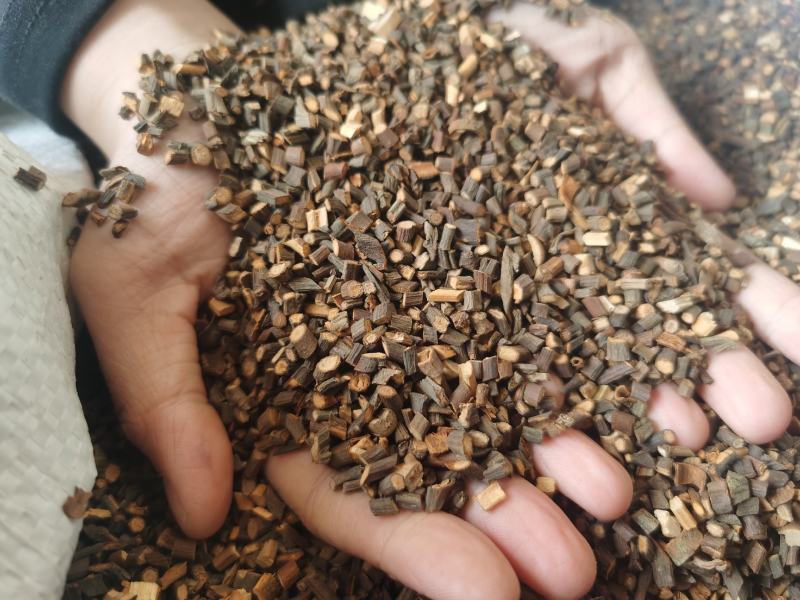 广西桂枝尖桂枝中粒药食同源食品级足干批发零售