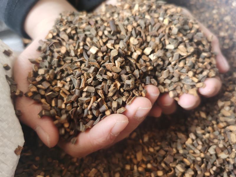 广西桂枝尖桂枝中粒药食同源食品级足干批发零售