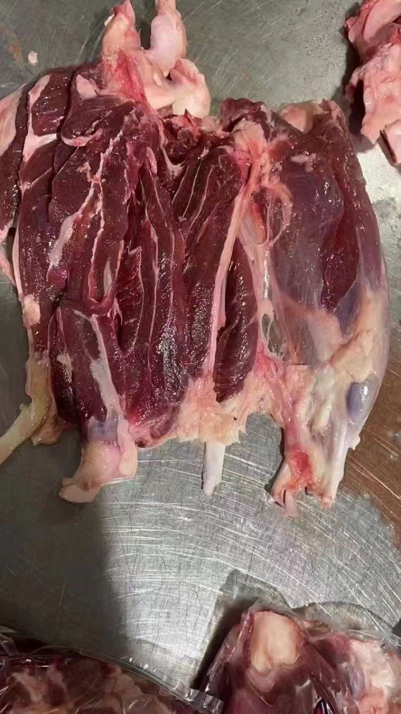 国产纯干精修牛腱子，货源充足稳定，品质保证！！！！！！！