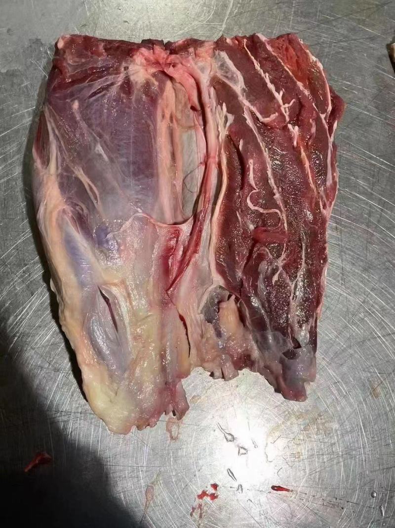 国产纯干精修牛腱子，货源充足稳定，品质保证！！！！！！！