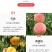 嫁接挑树苗新品种特大血盆栽矮化南方北方可种当年结果挑树苗