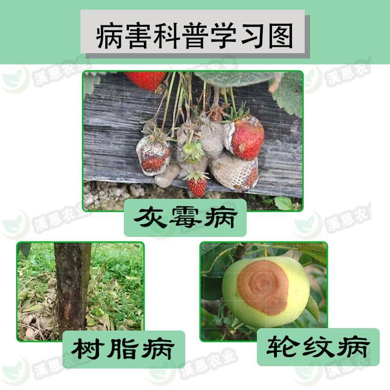 冠龙美得乐80%克菌丹草莓灰霉病柑橘树脂病苹果轮纹病杀菌