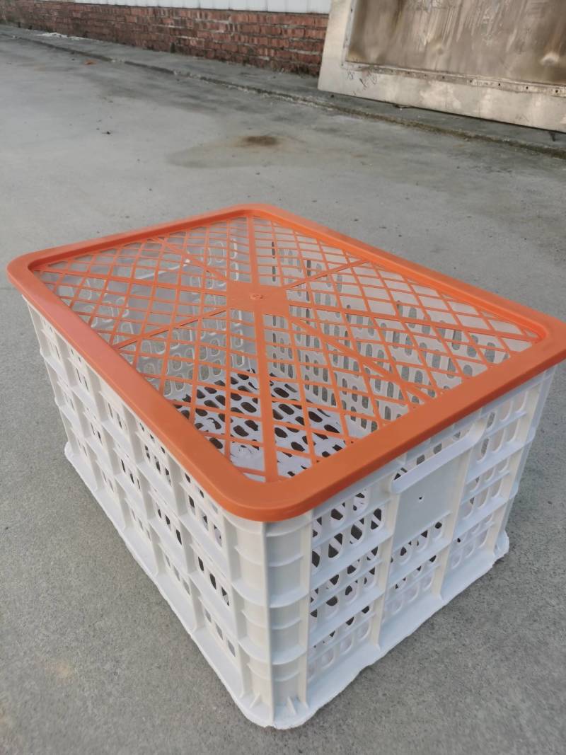 沃柑专用两层筐