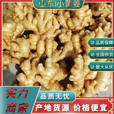 【优质小黄姜】山东生姜/老姜全国发货保证品质