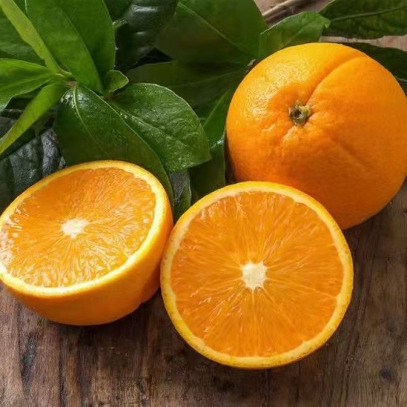奉节脐橙精品脐橙，纽荷尔大量上市，服务至上，诚心第一。