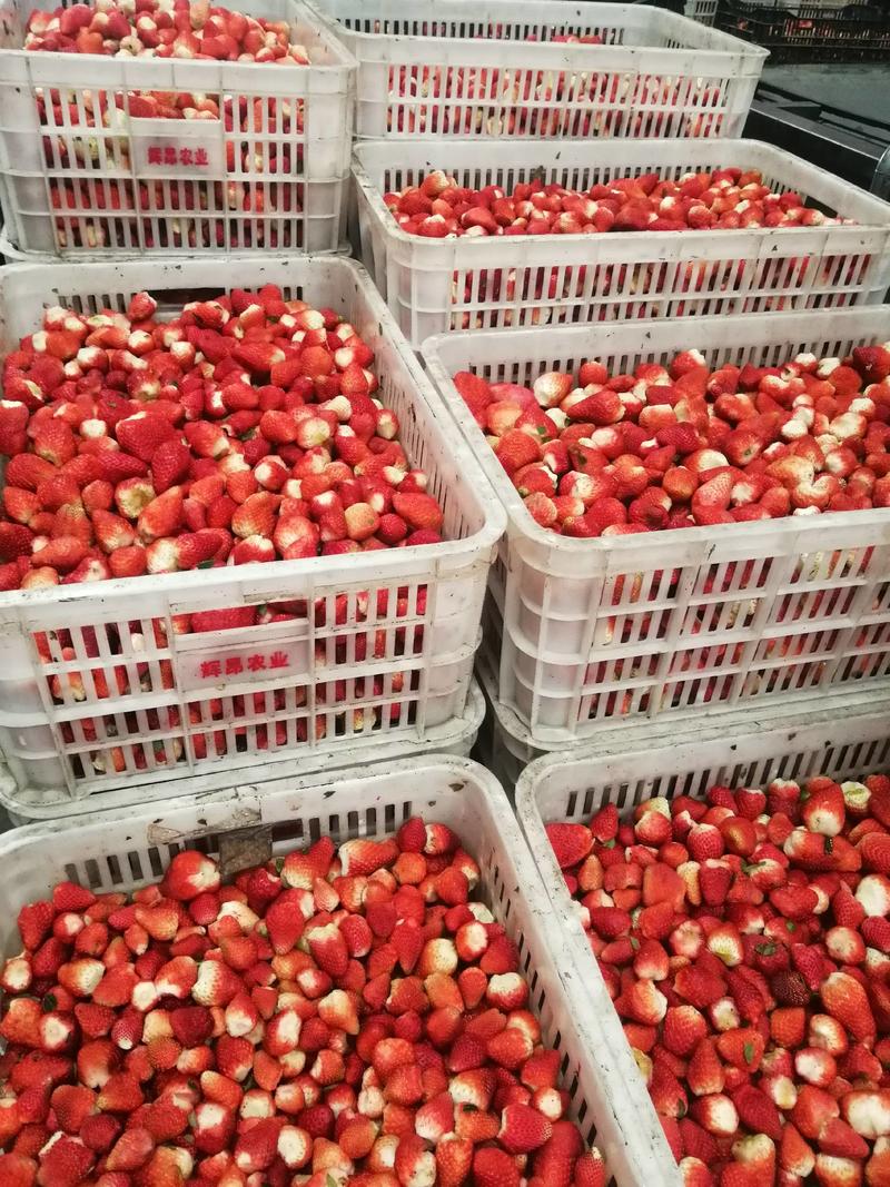 速冻甜草莓，自家冻库进行深加工，一手货源，量大从优