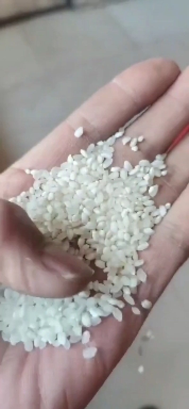 大米碎，硬碎米，碎大米，规格齐全，量大从优，长期供应