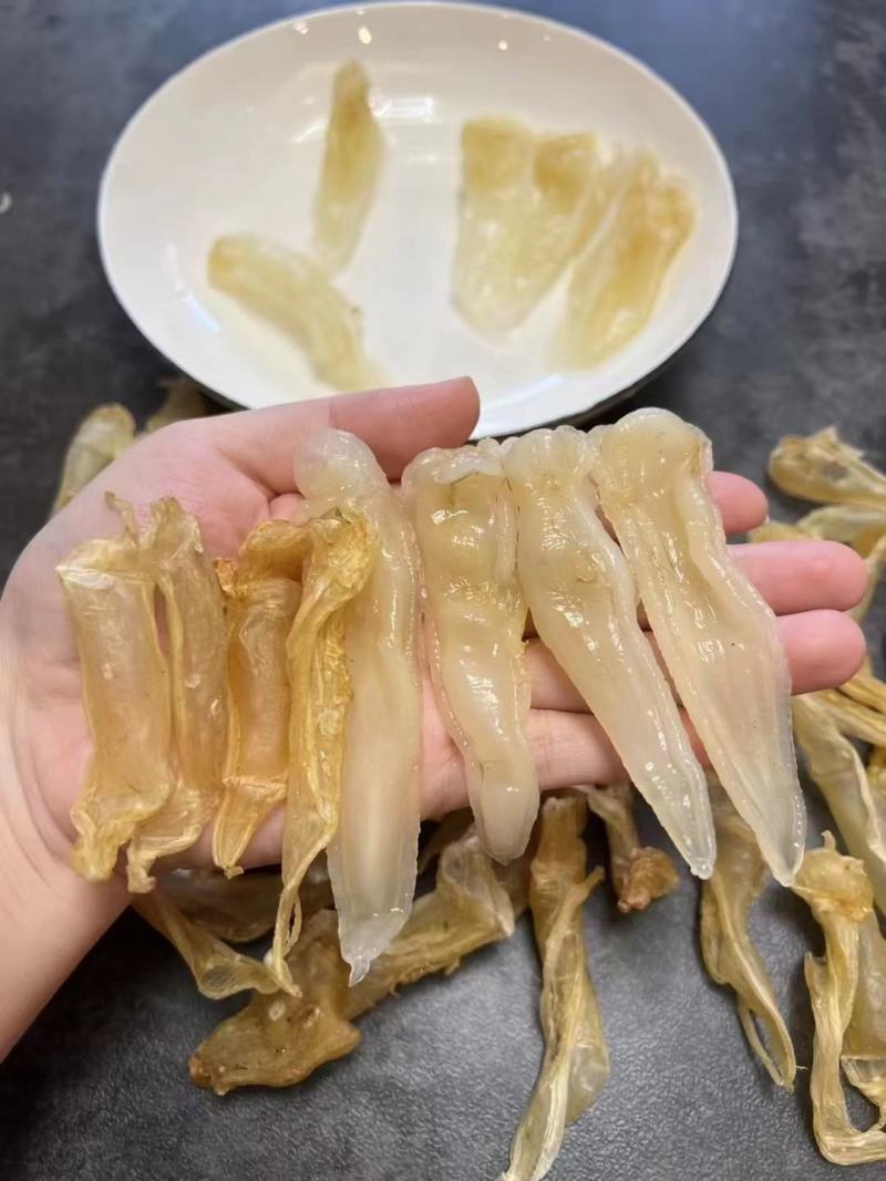 小缅甸黄花胶又称豆仁胶胶质非常好约1000头
