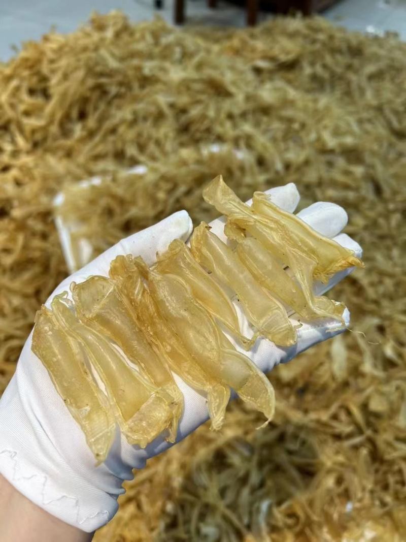 小缅甸黄花胶又称豆仁胶胶质非常好约1000头