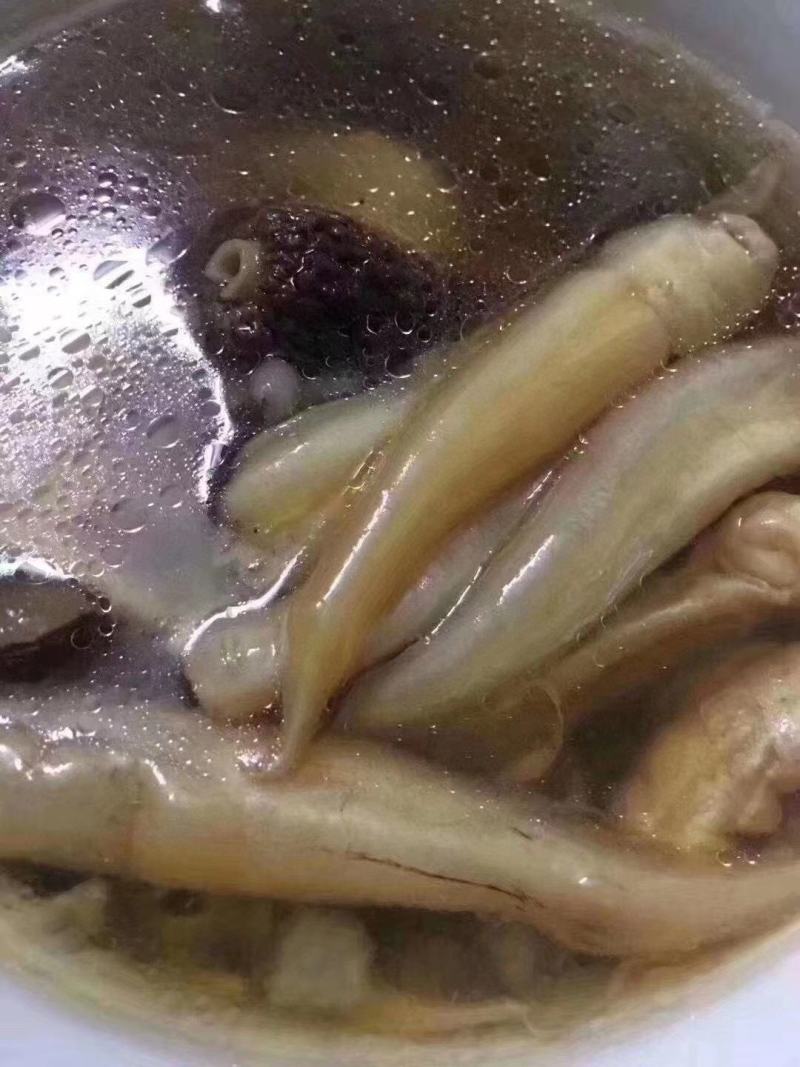 小缅甸黄花胶又称豆仁胶胶质非常好约1000头