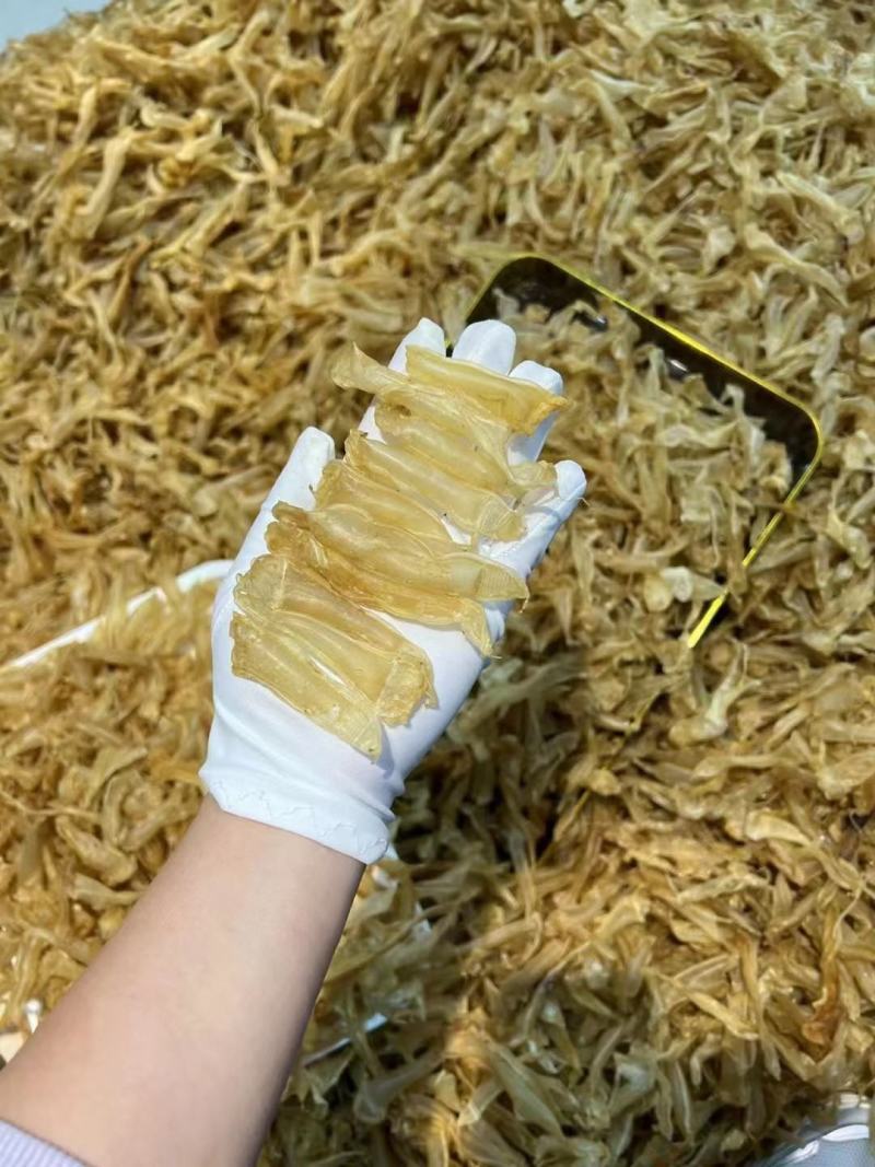 小缅甸黄花胶又称豆仁胶胶质非常好约1000头