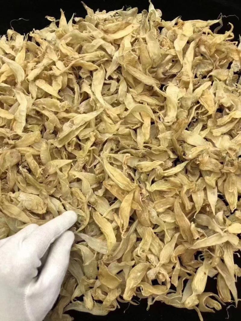 小缅甸黄花胶又称豆仁胶胶质非常好约1000头