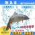 【2023新苗】优质鲤鱼苗工程鲤鱼苗鲤鱼水花建鲤苗