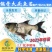 【2023新苗】苗场直供缩骨大头鱼苗缩骨鱼苗缩骨鳙鱼苗