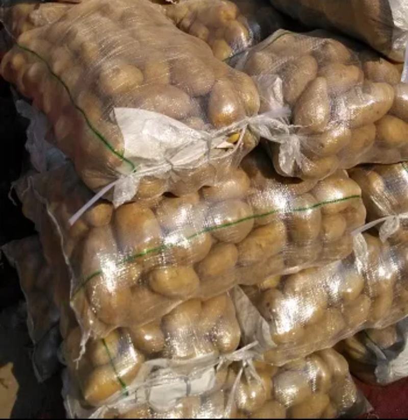 白皮黄心土豆