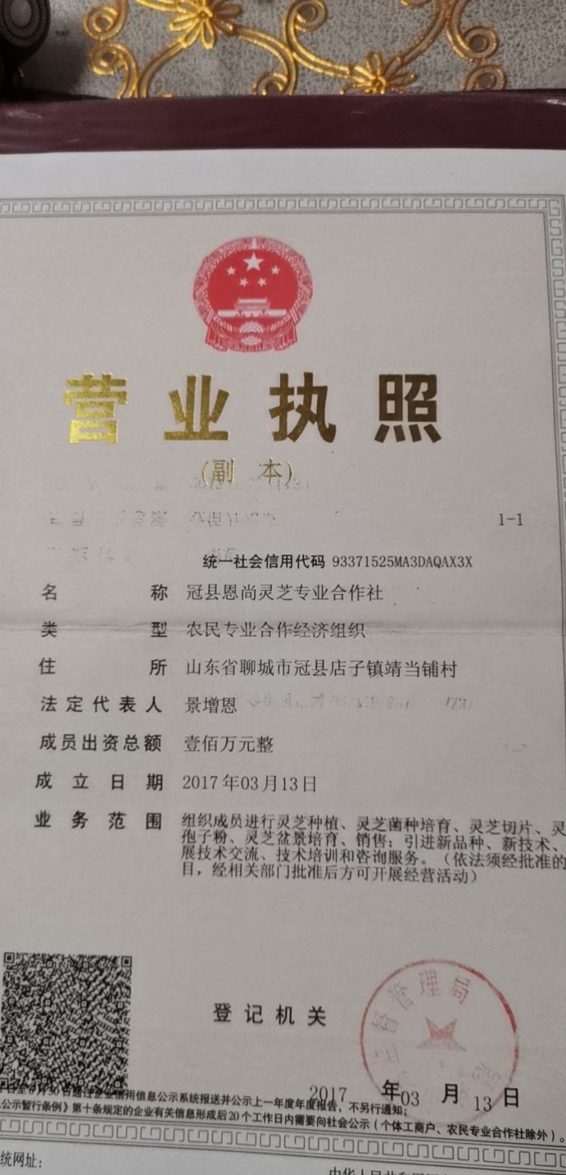 网红款【精品】灵芝孢子粉礼盒500克装简单大气时尚简约