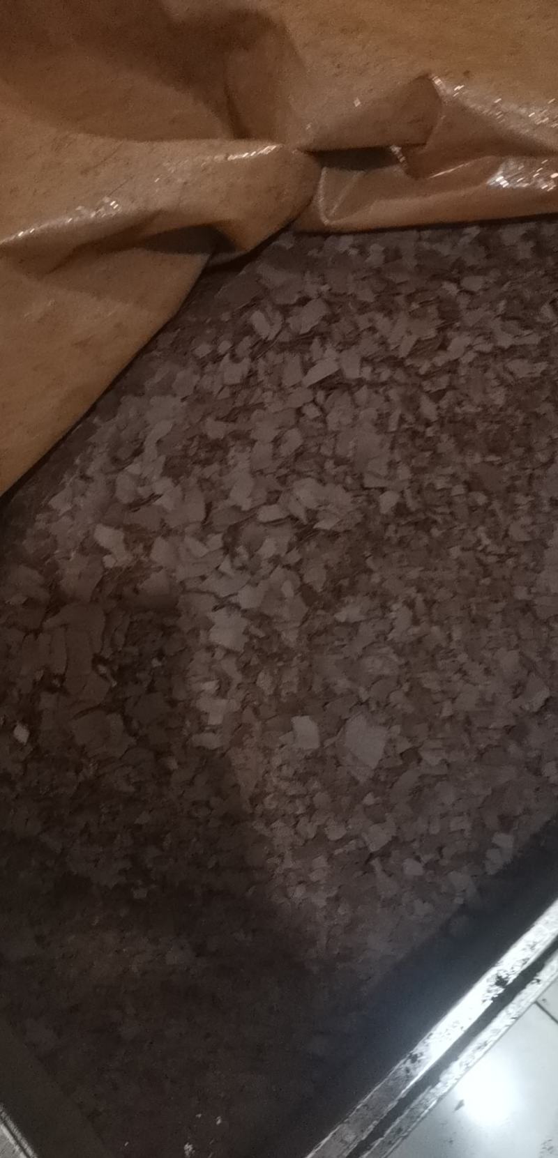 网红推荐推荐菌香浓郁不苦油花多煲汤茶饮灵芝孢子粉