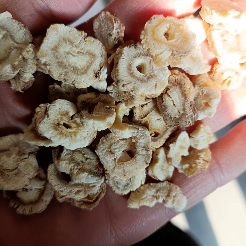 中药材沙参，沙参片，沙参组，大货直供，批发各种中药材