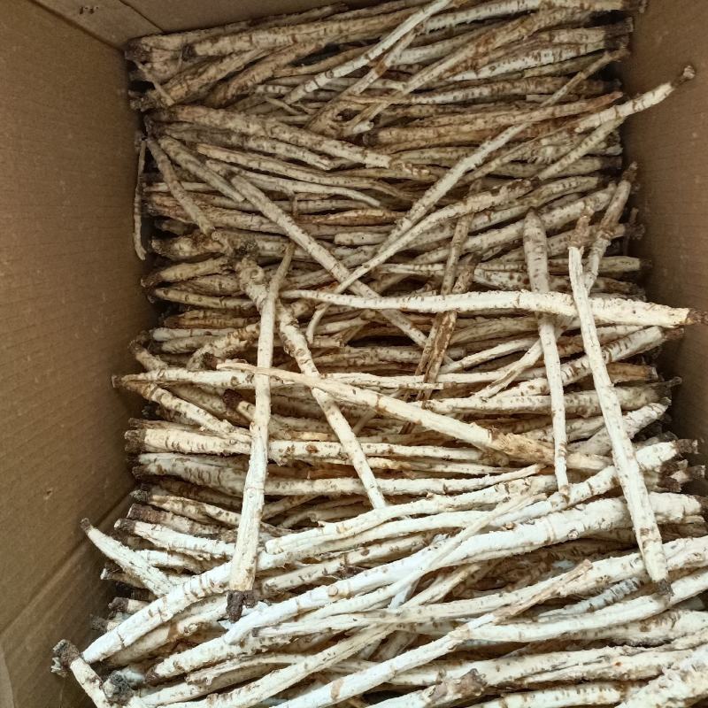 中药材沙参，沙参片，沙参组，大货直供，批发各种中药材