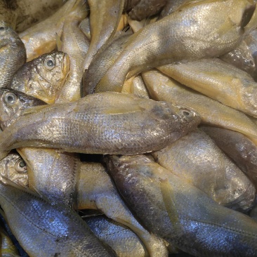 胶东海鲜