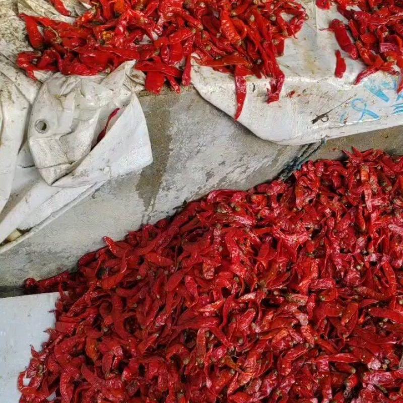 【泡菜】盐水辣椒，腌制软皮辣椒，