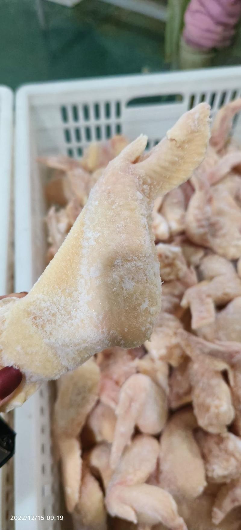 鸡副产品冷冻国产全翅，鸡翅，翅中翅根一级原料纯干