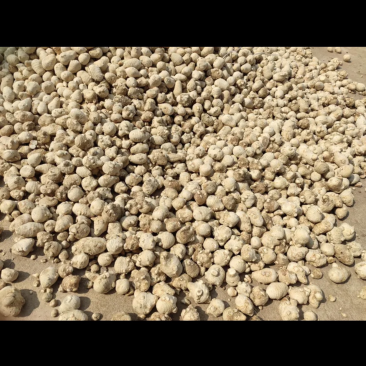 泽泄药材大量供应，产地代办，货源充足，交通便利