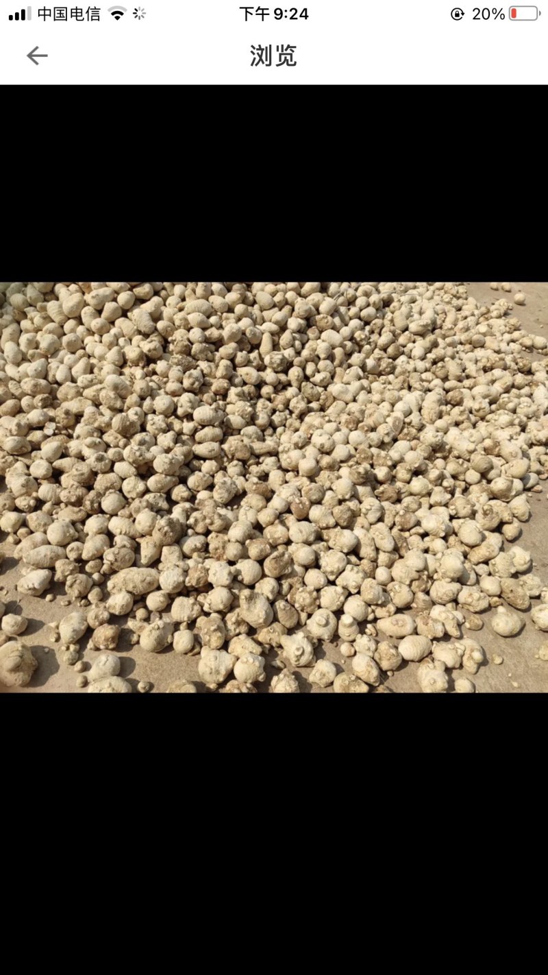 泽泄药材大量供应，产地代办，货源充足，交通便利